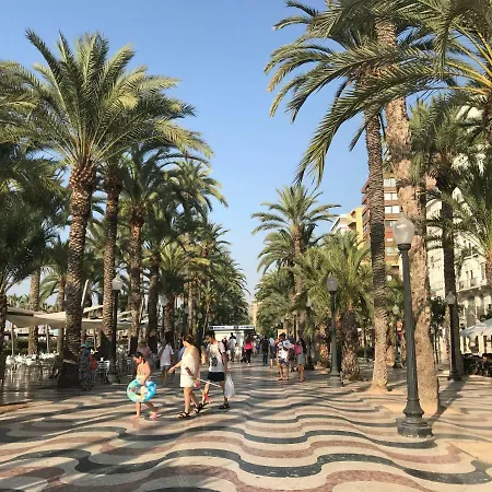 Lylapartamentos Alicante